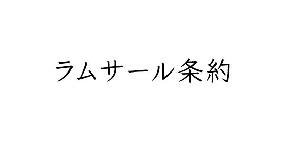 MNC DB 仮